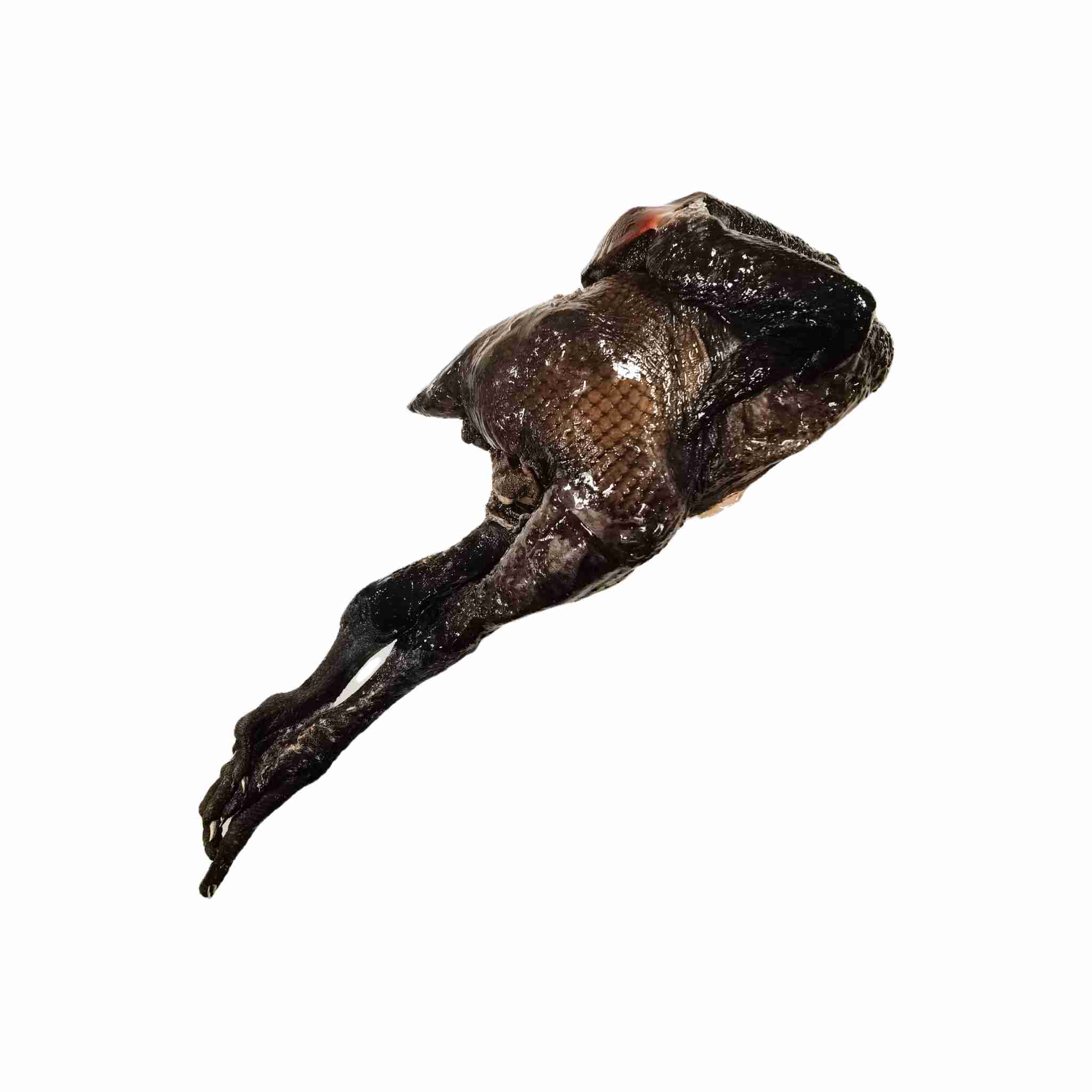 乌骨鸡1kg（计重）