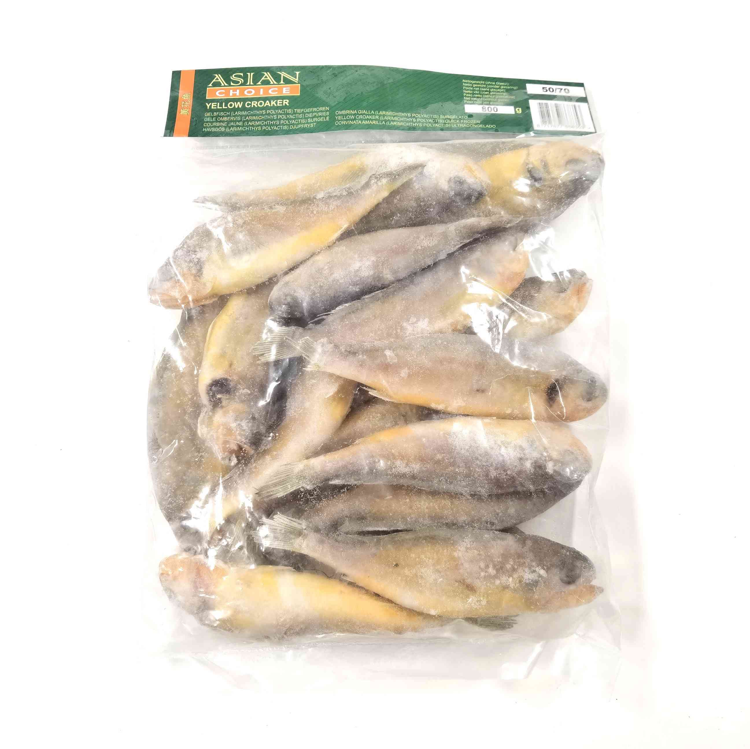 H360413正宗小黄鱼1kg